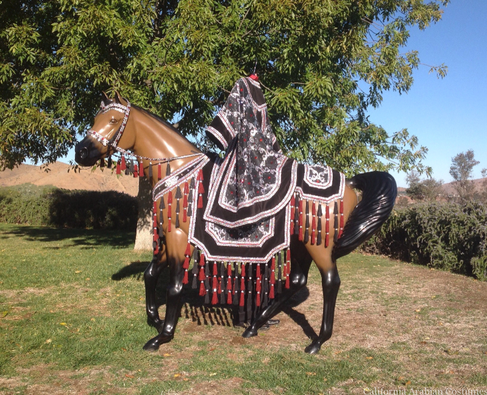 Costumes for Sale California Arabian Costumes