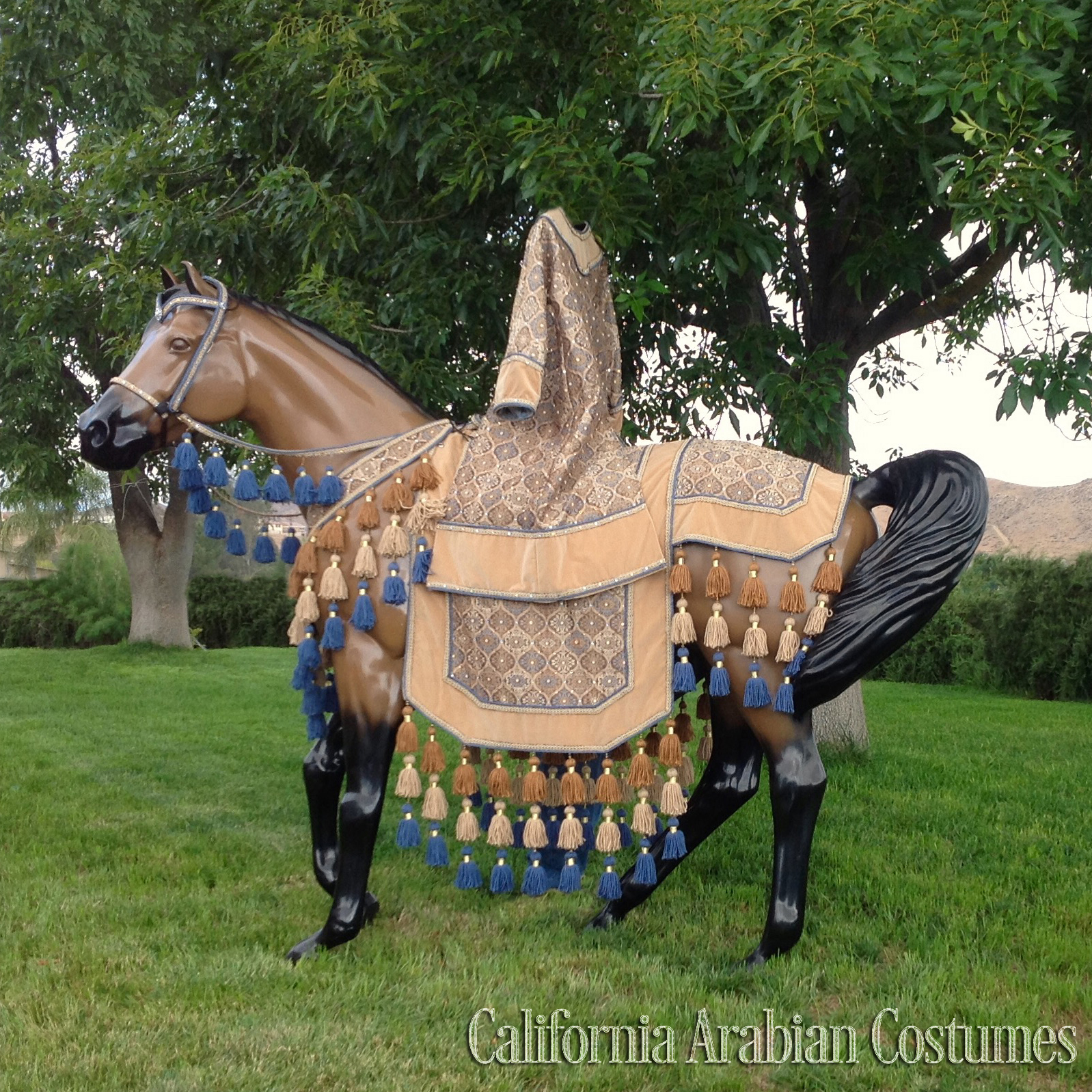 Costumes for Sale California Arabian Costumes