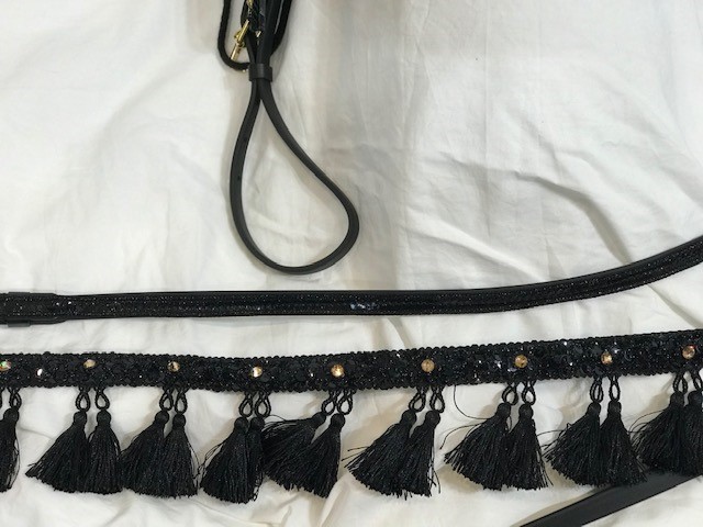 reins