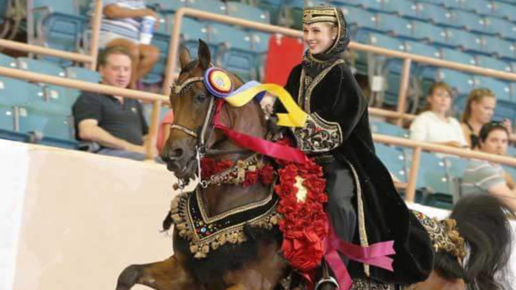 California Costumes Parrucca Da Donna Orientale Principessa Del Deserto, Colore: Nero E Oro, 10 Inches - 8