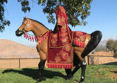 California Arabian Costumes