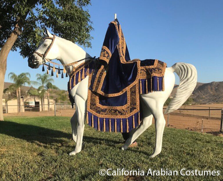 Costumes for Sale California Arabian Costumes