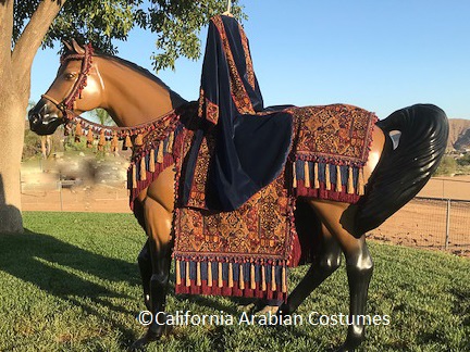 Blue, Burgundy and Carmel Native Costume California Arabian Costumes