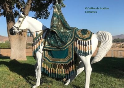 California Arabian Costumes